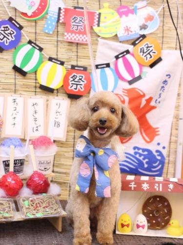 20240710ココちゃん